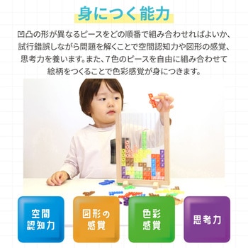 Artec MiraTOY カラフルテトパズル アーテック[学校教材・教育玩具]