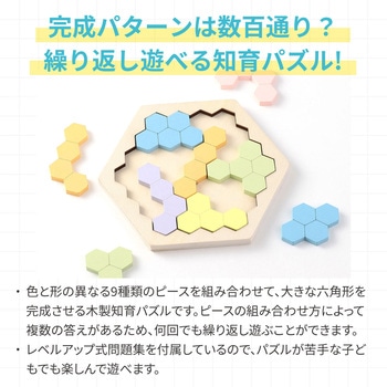 Artec MiraTOY 木製ヘキサゴンパズル パステルカラー - アーテック[学校教材・教育玩具]