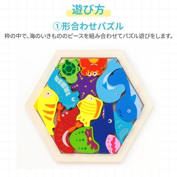 Artec MiraTOY 六角パズル - アーテック[学校教材・教育玩具]