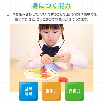 Artec MiraTOY 六角パズル アーテック[学校教材・教育玩具]
