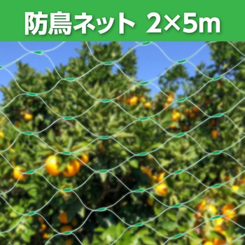 防鳥ネット2×5m - アーテック[学校教材・教育玩具]
