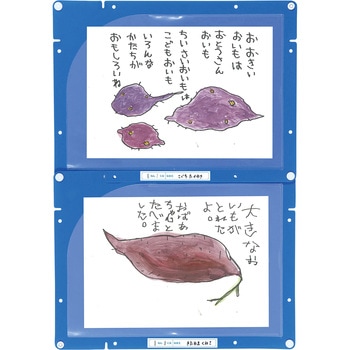 縦横連結掲示ホルダー A4 - アーテック[学校教材・教育玩具]
