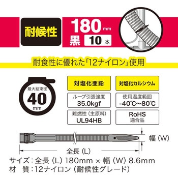 ストロングタイ 耐候性 黒 10本入 オーム電機