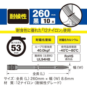 ストロングタイ 耐候性 黒 10本入 オーム電機