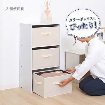 収納ボックス ベージュ アストロ