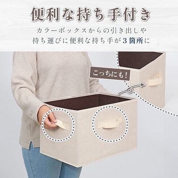 収納ボックス ベージュ アストロ