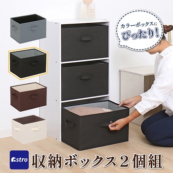 収納ボックス ブラック 2個組 アストロ