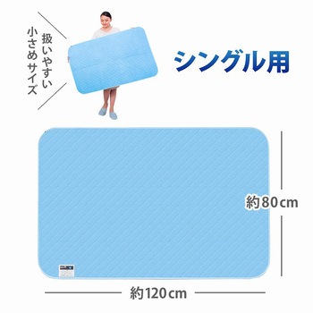 除湿で防ダニ!吸湿マット シングル用 アストロ