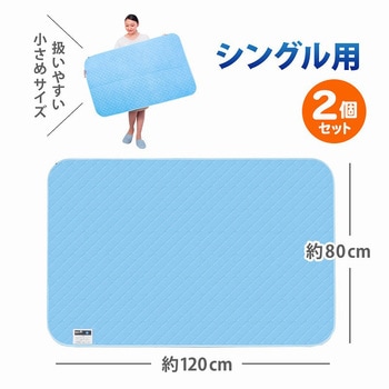 除湿で防ダニ!吸湿マット シングル用 2枚組 - アストロ