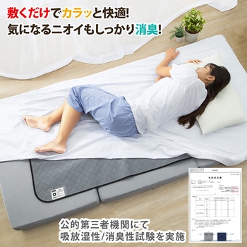 活性炭と珪藻土入り除湿シート シングルサイズ - アストロ