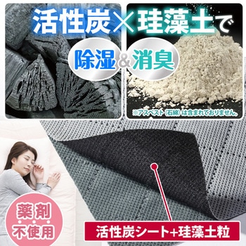 活性炭と珪藻土入り除湿シート シングル2枚組 - アストロ