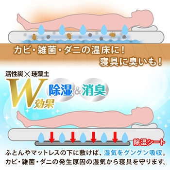 活性炭と珪藻土入り除湿シート シングル2枚組 - アストロ