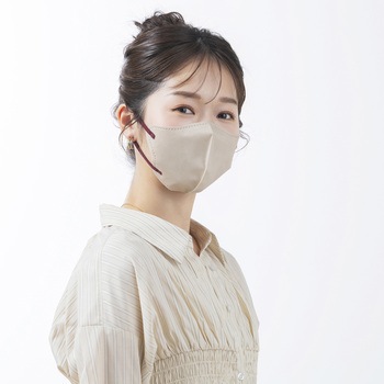 FASHIONABLE MASK 立体  ふつうサイズ 10枚入 アイリスオーヤマ