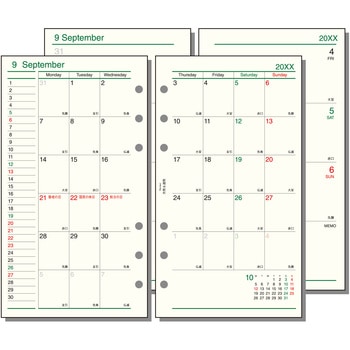 2026年度システム手帳聖書リフィル ダヴィンチ レイメイ藤井