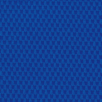 No.2940FG Z[i LION (CI) 59811447