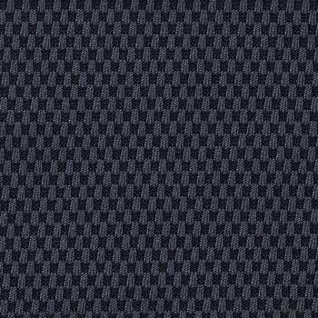 No.2920FG Z[i LION (CI) 59811298