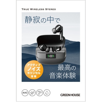 完全ワイヤレスイヤホン グリーンハウス