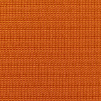 No.1931F �T�e�� LION (���C�I��������) 59818097