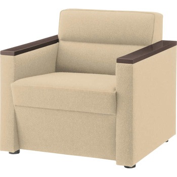 F450G-AC/WA 応接アームチェアー セレクト450シリーズ LION (ライオン事務器) 59854935