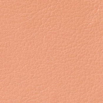 LC-4102S ���r�[�`�F�A�[ LC4100�V���[�Y LION (���C�I��������) �I�[�����F 2�l �w�Ȃ��x���`�^�C�v ���O�g�p�s�� ����455mm��1045mm���s520mm  LC-4102S 59864385