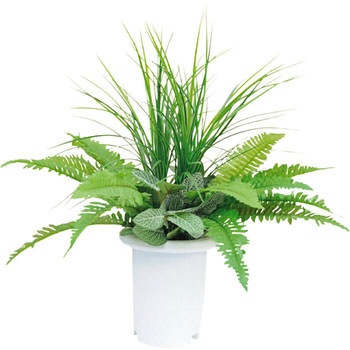 ALF-001 �l�H�A��H1500 LION (���C�I��������) 59872776