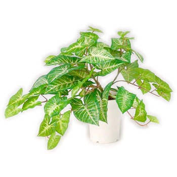 GS-112 人工植物H1500 LION (ライオン事務器) 59872812