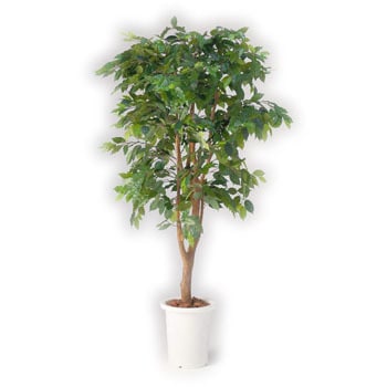 GB-211 人工植物H1500 LION (ライオン事務器) 59872907