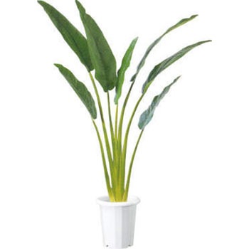 ALTP-001 �l�H�A��H1500 LION (���C�I��������) 59872952