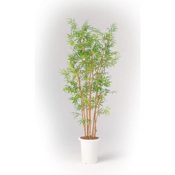 GB-216 �l�H�A��H1500 LION (���C�I��������) 59872995