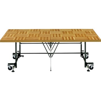 No.488NS �f���J�X�e�[�W LION (���C�I��������) 59890398