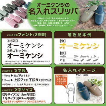 【名入れ】抗菌スリッパ 前閉じタイプ オーミケンシ