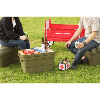 トランクカーゴ テーブルトップ バッグサイズ:18×9×40cm ホームテイスト