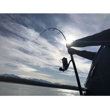 Monsterfin70S - TRANSCENDENCE(トランスセンデンス)