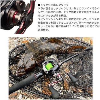 25 HRF TW PE SPECIAL - DAIWA(ダイワ)