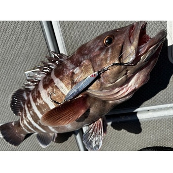 TGイエヤス - BOZLES(ボーズレス)