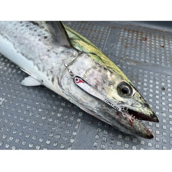 TGトウキチロウ BOZLES(ボーズレス)