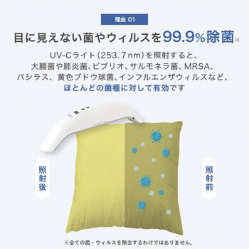 Vray UV-C除菌器 エコデバイス