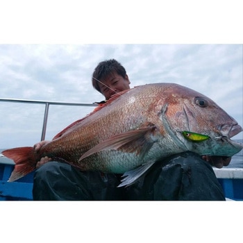 TGランマル BOZLES(ボーズレス)