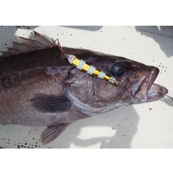 TG太閤ヒデヨシ BOZLES(ボーズレス)