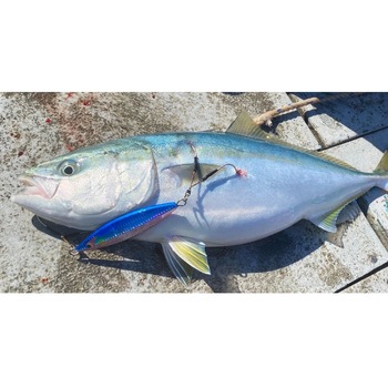 ユキムラ BOZLES(ボーズレス)