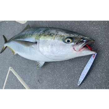 ゴウ BOZLES(ボーズレス)