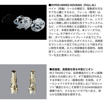 25IM Z TW DAIWA(ダイワ)