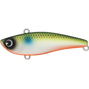 RAIKIRI(ライキリ)60 アムズデザイン