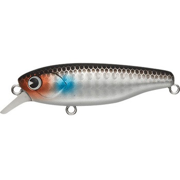 K-太(ケータ)58 SUSPEND アムズデザイン