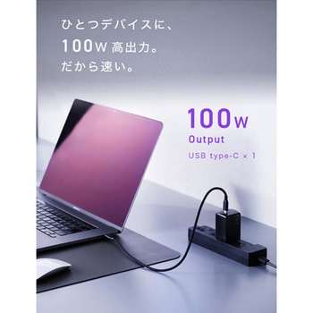 NovaPort SOLO II 100W1C ブラック CIO