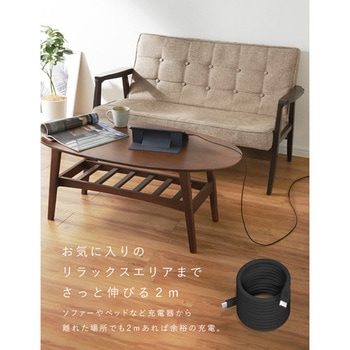 スパイラルシリコンケーブル CtoC 2m(ブラック) CIO