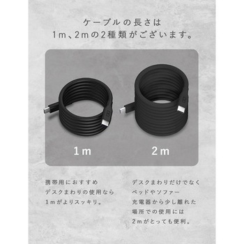 スパイラルシリコンケーブル CtoC 2m(ブラック) CIO