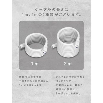 スパイラルシリコンケーブル CtoC 2m(ホワイト) - CIO