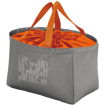 保冷 レジカゴinバッグ GO トルネ