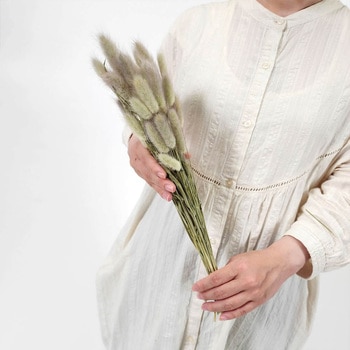 秋のディスプレイ・装飾用品 ドライフラワー ラグラス(天然素材) ストア・エキスプレス
